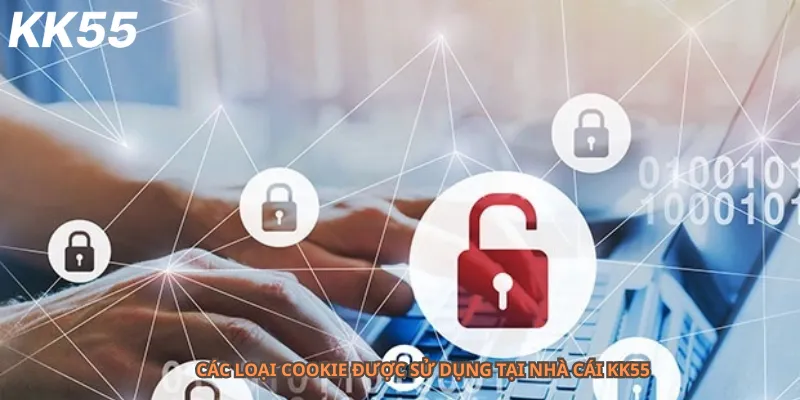 Các loại cookie được sử dụng tại nhà cái kk55